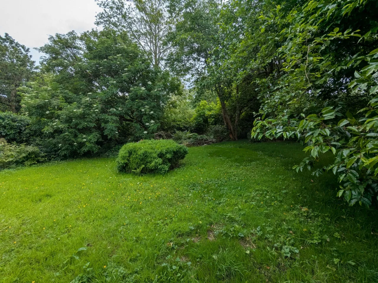 Photo of House With 2.94 Acres, Derrylahan, Louisburgh, Co Mayo, F28 F865