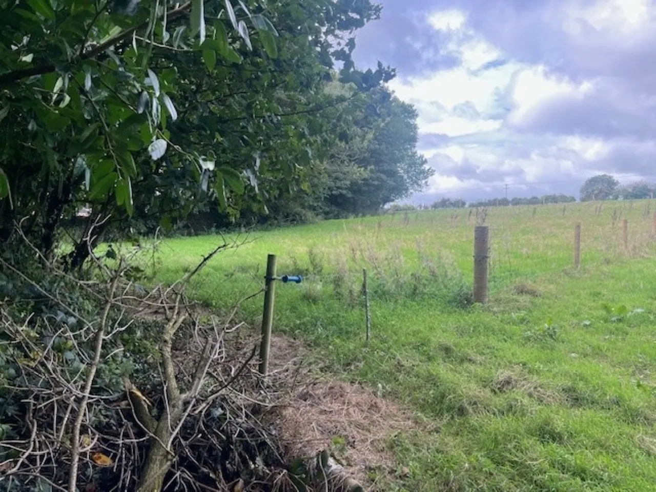 Photo of Camross (Site), Foulksmills, Co Wexford