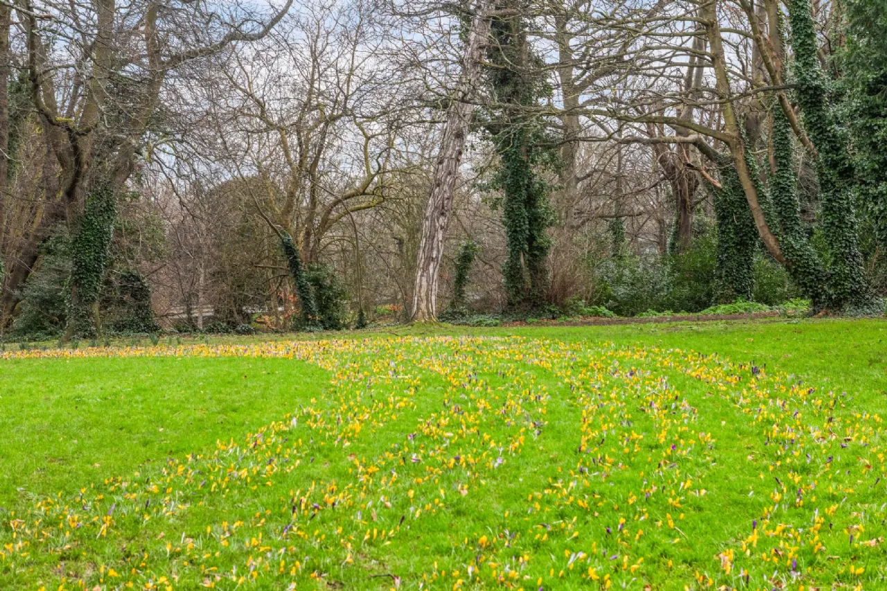 Photo of The Slopes, Knapton Road, Monkstown, Co Dublin, A96 A094