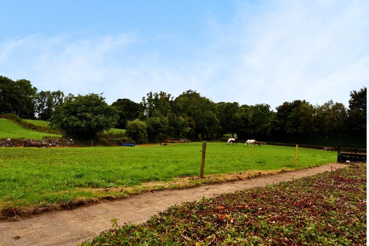 Photo of Creaghduff Stables, Coosan, Athlone, Co Westmeath, N37 K3E3