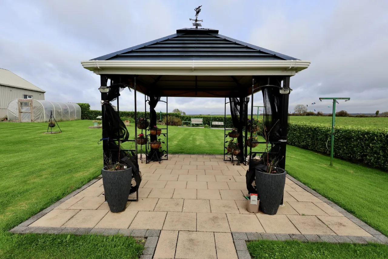 Photo of The Pigeons, Athlone, Co. Westmeath, N37 A627