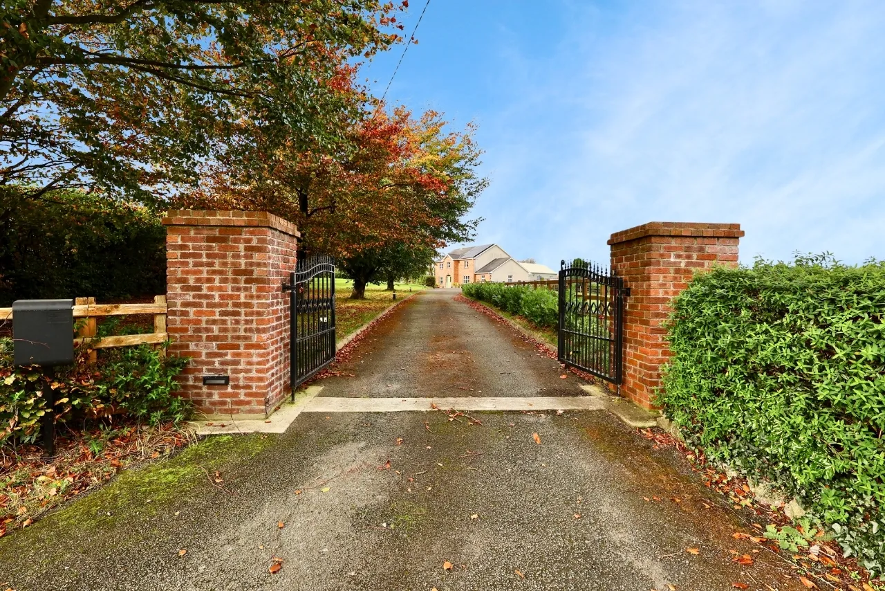 Photo of The Pigeons, Athlone, Co. Westmeath, N37 A627