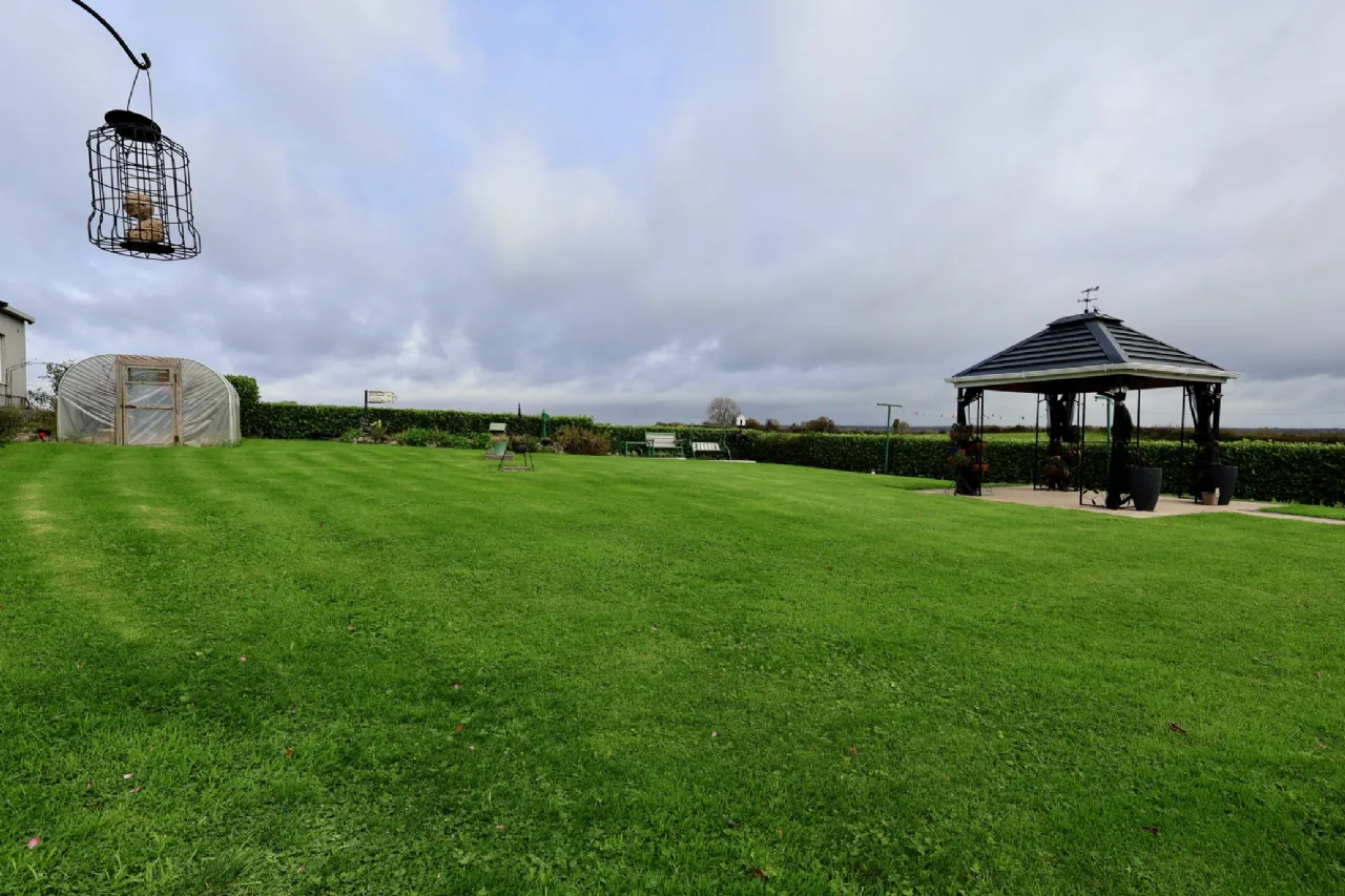 Photo of The Pigeons, Athlone, Co. Westmeath, N37 A627