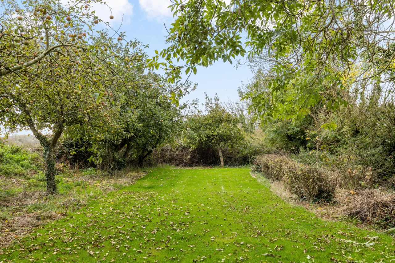 Photo of Shelburne Lodge, Fethard, Co Wexford, Y34 DY68