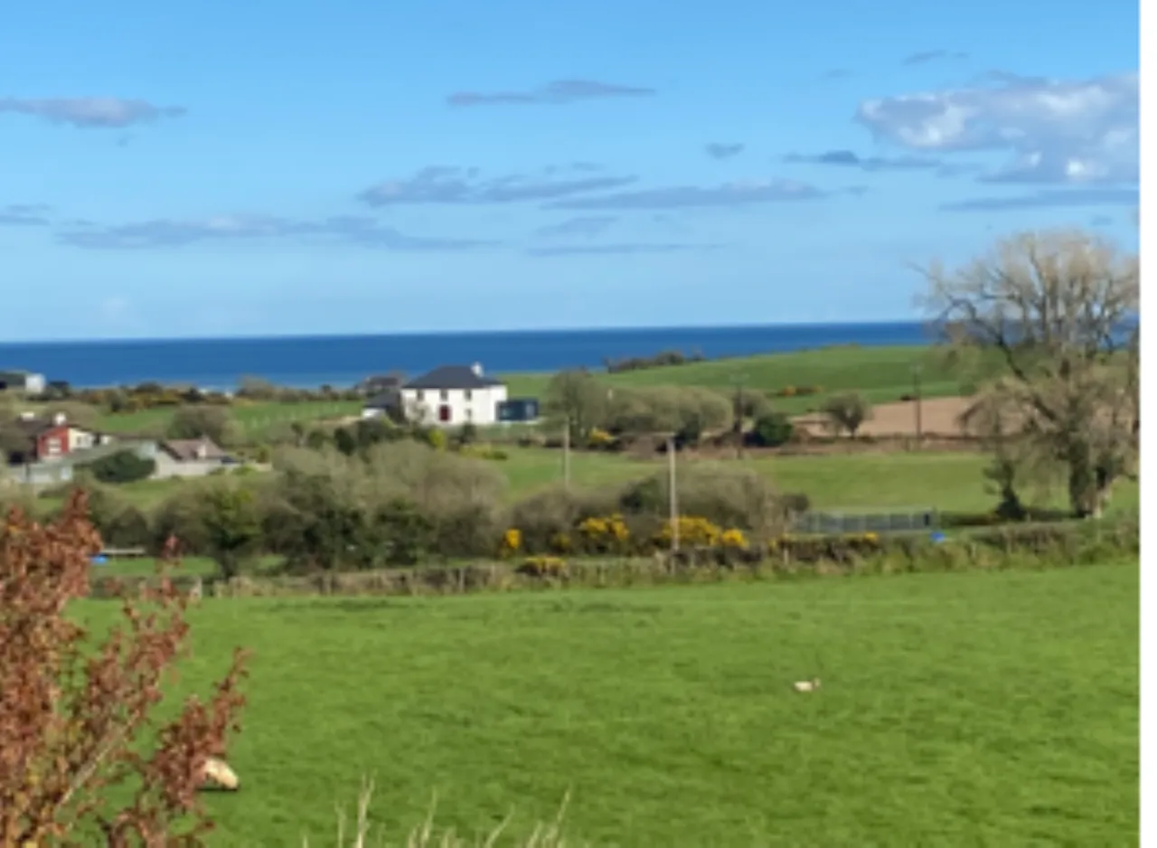 Photo of Ballina Upper, Blackwater, Co. Wexford, Y21 D772