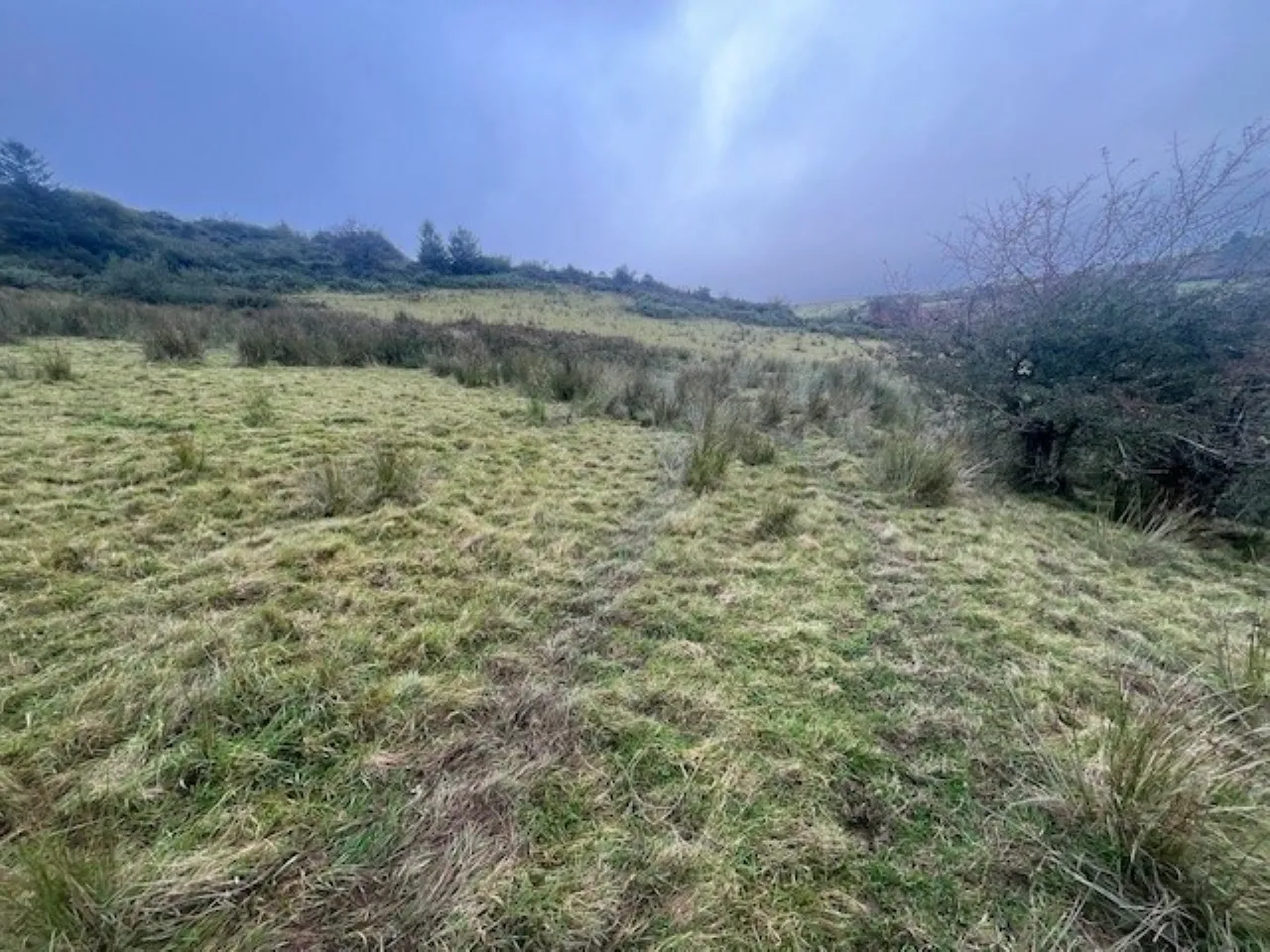 Photo of Bollingbrook, Dolla, Nenagh, Co. Tipperary