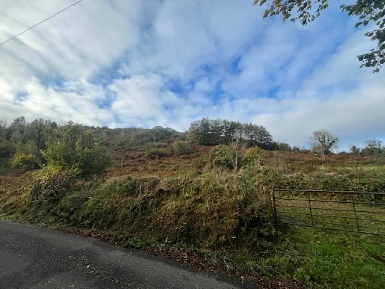 Photo of Bollingbrook, Dolla, Nenagh, Co. Tipperary