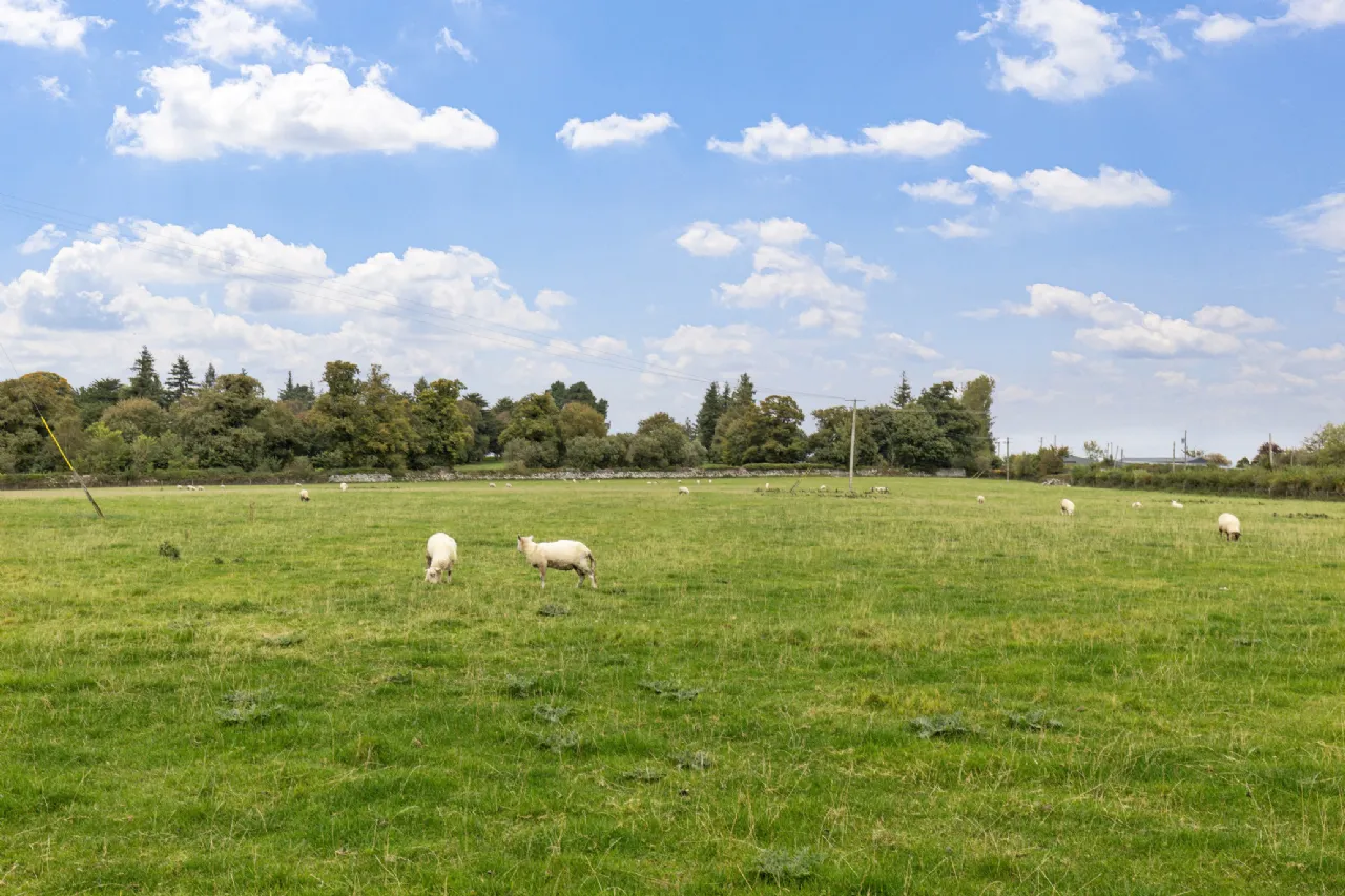 Photo of Ballynagrane,, Borris,, Co. Carlow, R95HD51