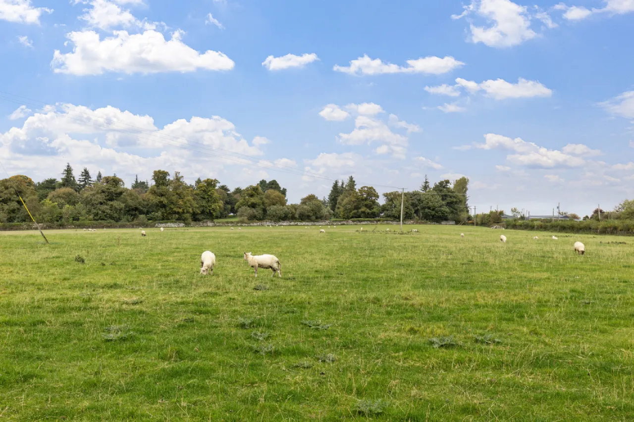 Photo of Ballynagrane,, Borris,, Co. Carlow, R95HD51