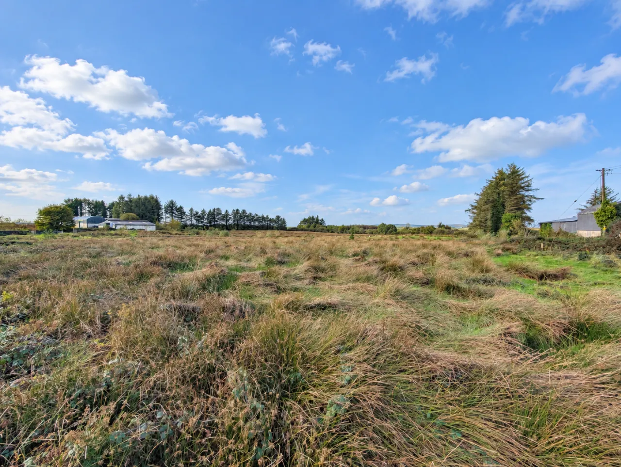 Photo of Eden, Knock, Co Mayo