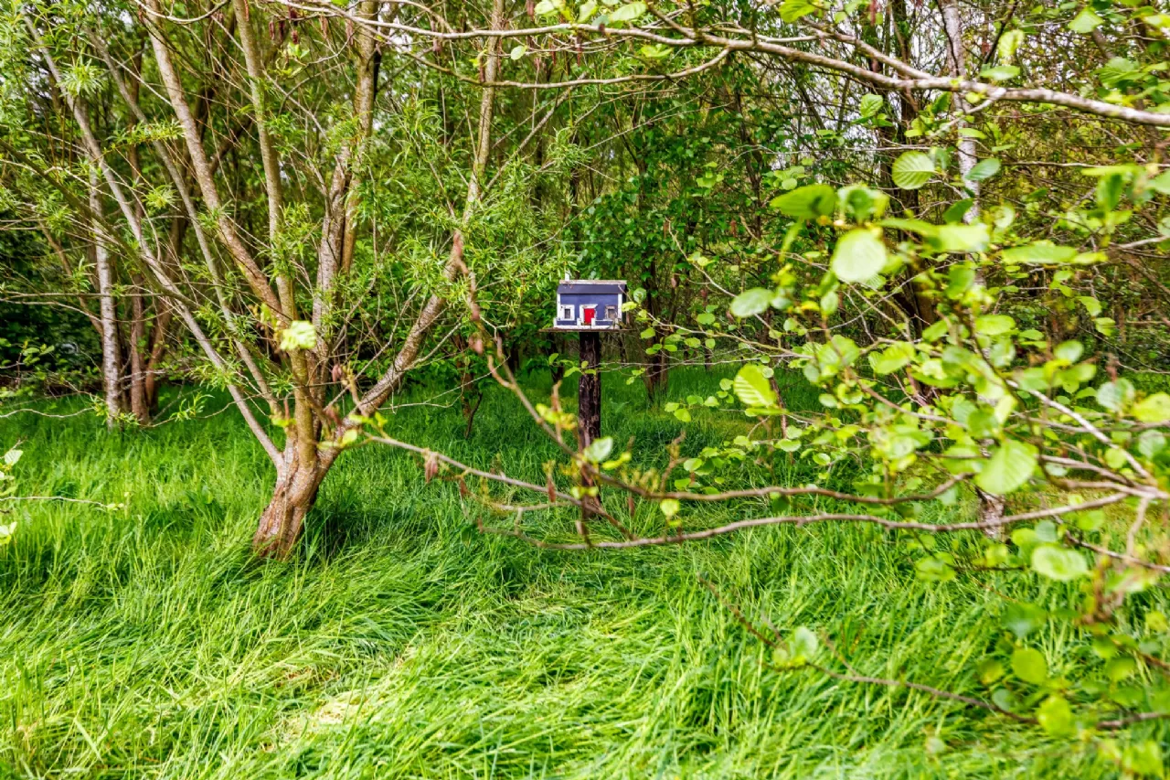 Photo of Monaghanoose, Bailieborough, Co. Cavan, A82 T6T7