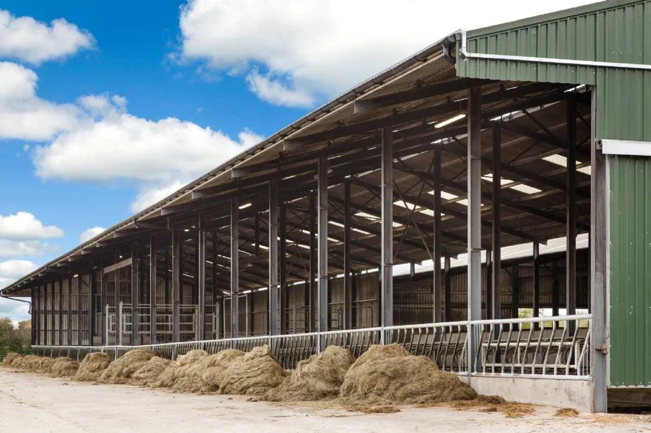 Photo of Lot 3 - Rockwell Farm (The Entire), Approx. 329.2 Ha (813.5 Acres), Cashel, County Tipperary, E25 F886
