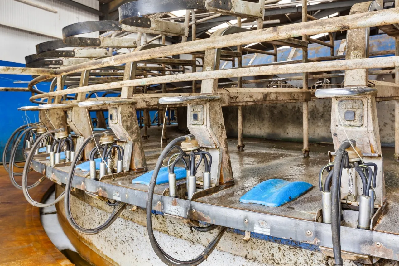 Photo of Lot 3 - Rockwell Farm (The Entire), Approx. 329.2 Ha (813.5 Acres), Cashel, County Tipperary, E25 F886