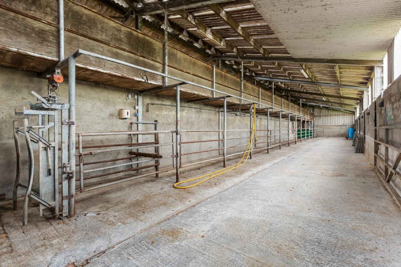 Photo of Lot 3 - Rockwell Farm (The Entire), Approx. 329.2 Ha (813.5 Acres), Cashel, County Tipperary, E25 F886