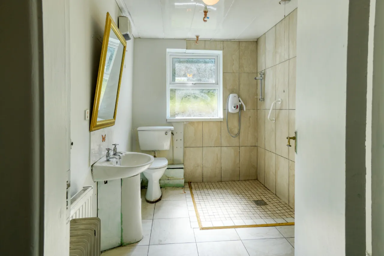 Photo of Park Upper, Stradbally, Co. Laois, R32N6X0