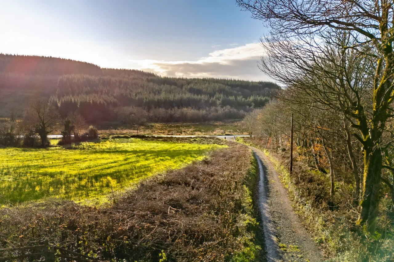 Photo of House On 66 Acres Of Land Approx., Srananagh, Ballygawley, Co. Sligo, F91RT18