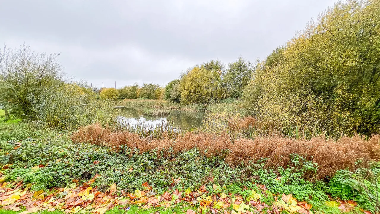 Photo of 65 Lakeview Drive, Lakeside, Kilkenny, R95 HY48