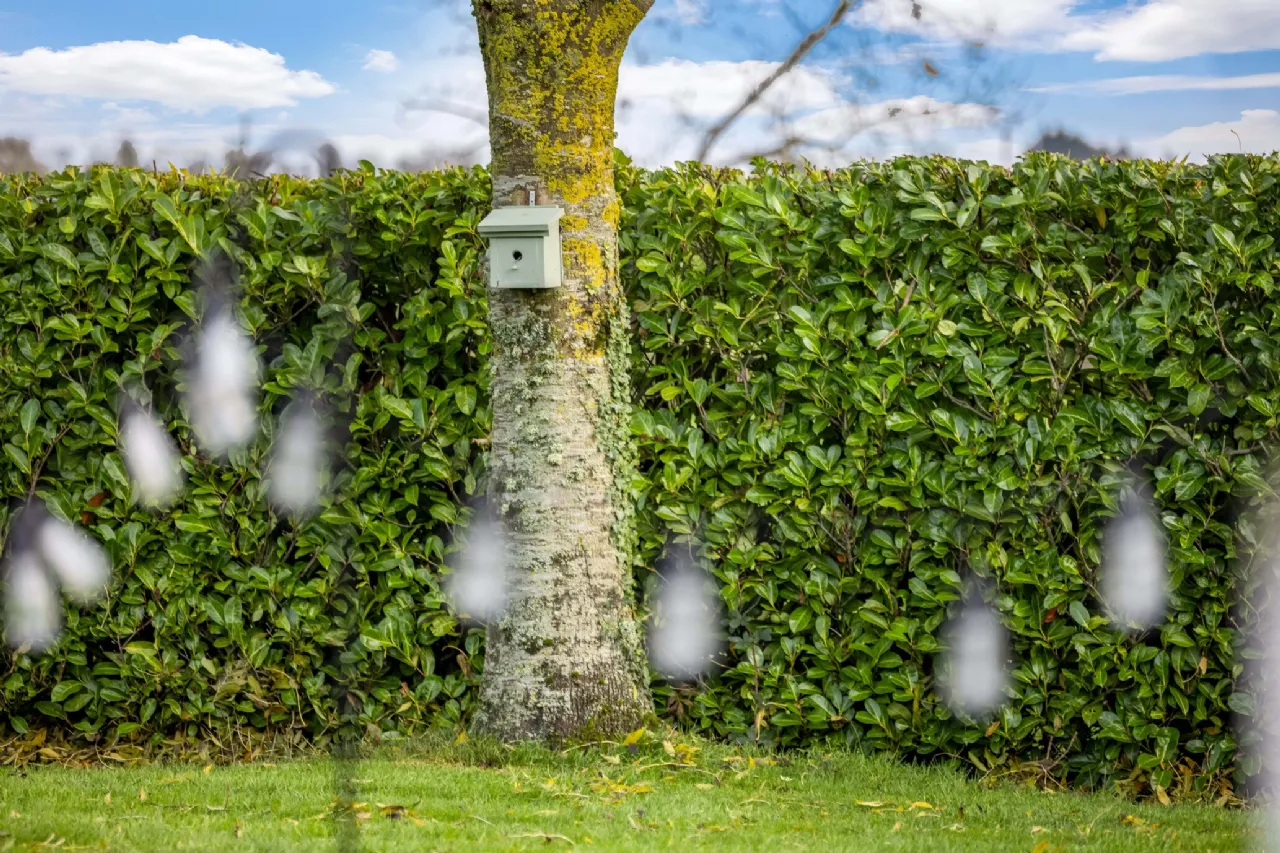 Photo of Magnolia Lodge, Palmerstown, Oldtown, Co Dublin, A45 KT92