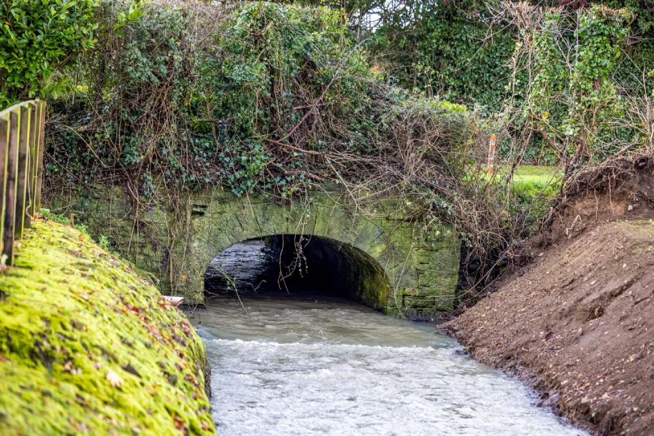 Photo of Magnolia Lodge, Palmerstown, Oldtown, Co Dublin, A45 KT92