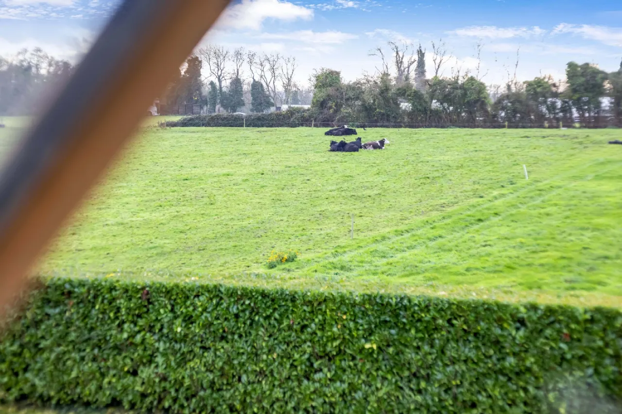 Photo of Magnolia Lodge, Palmerstown, Oldtown, Co Dublin, A45 KT92