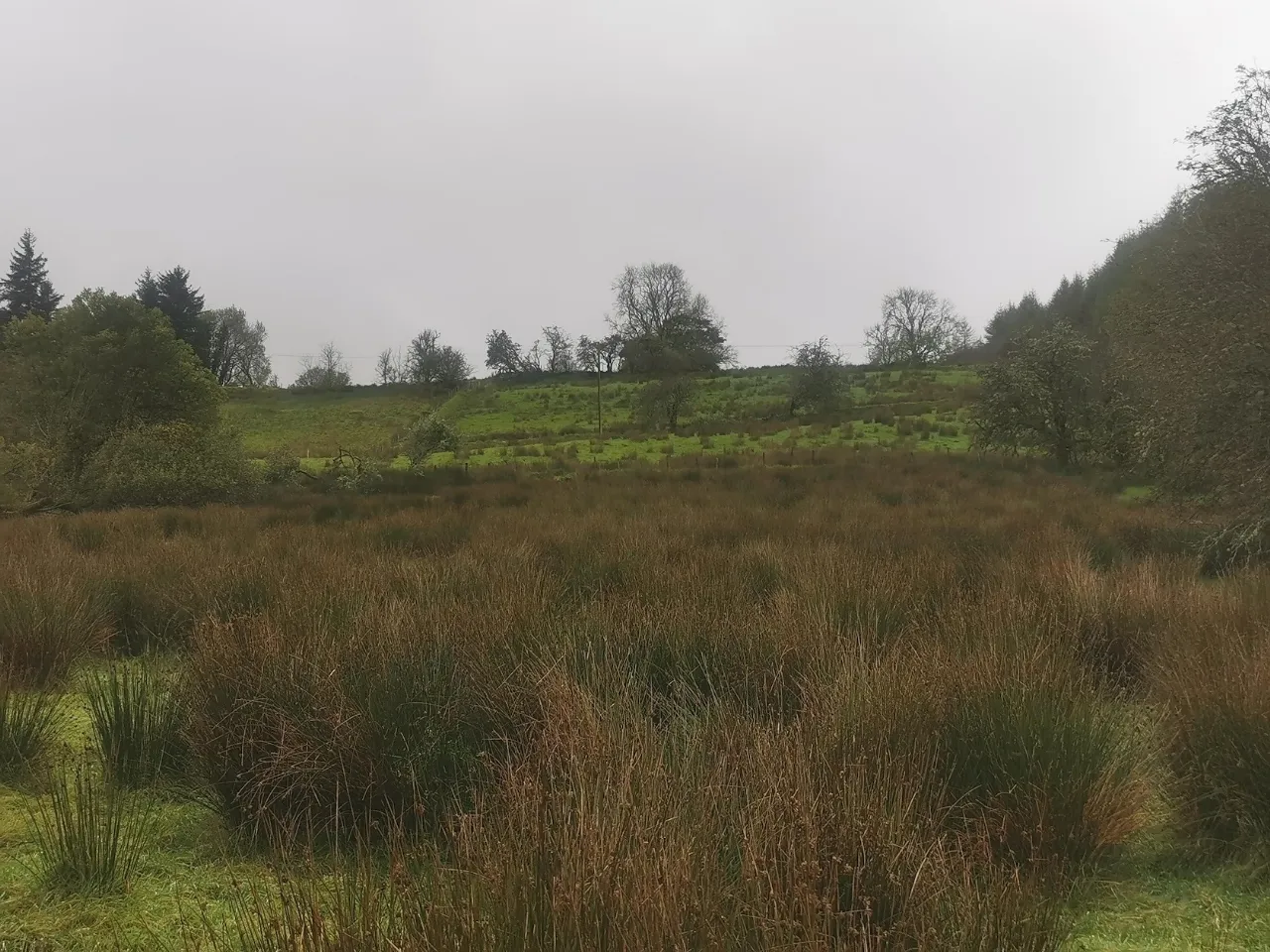 Photo of Tully, Manorhamilton, Co. Leitrim