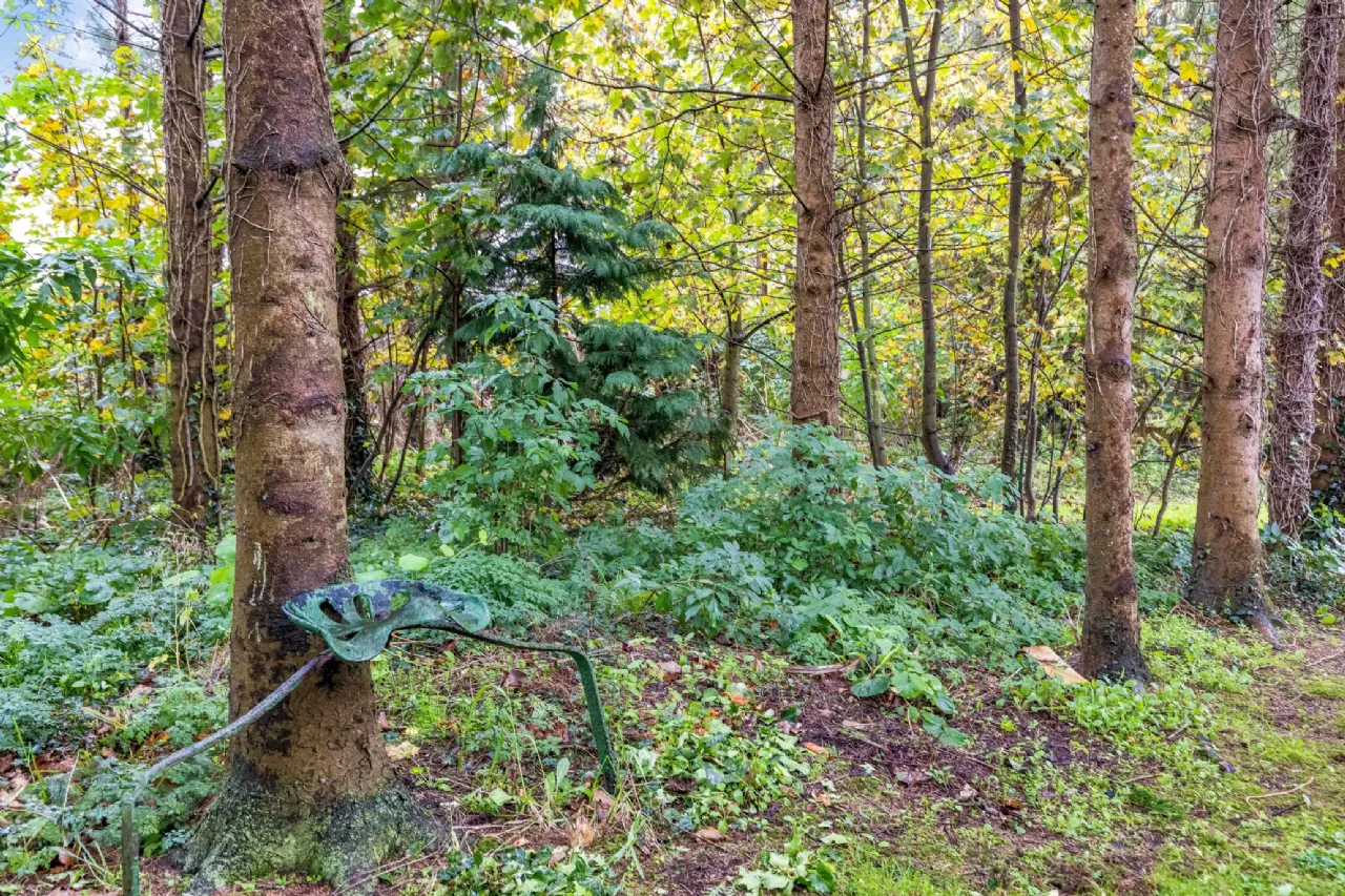 Photo of Moytulla, Athboy Road, Ballivor, Co Meath, C15 FR63