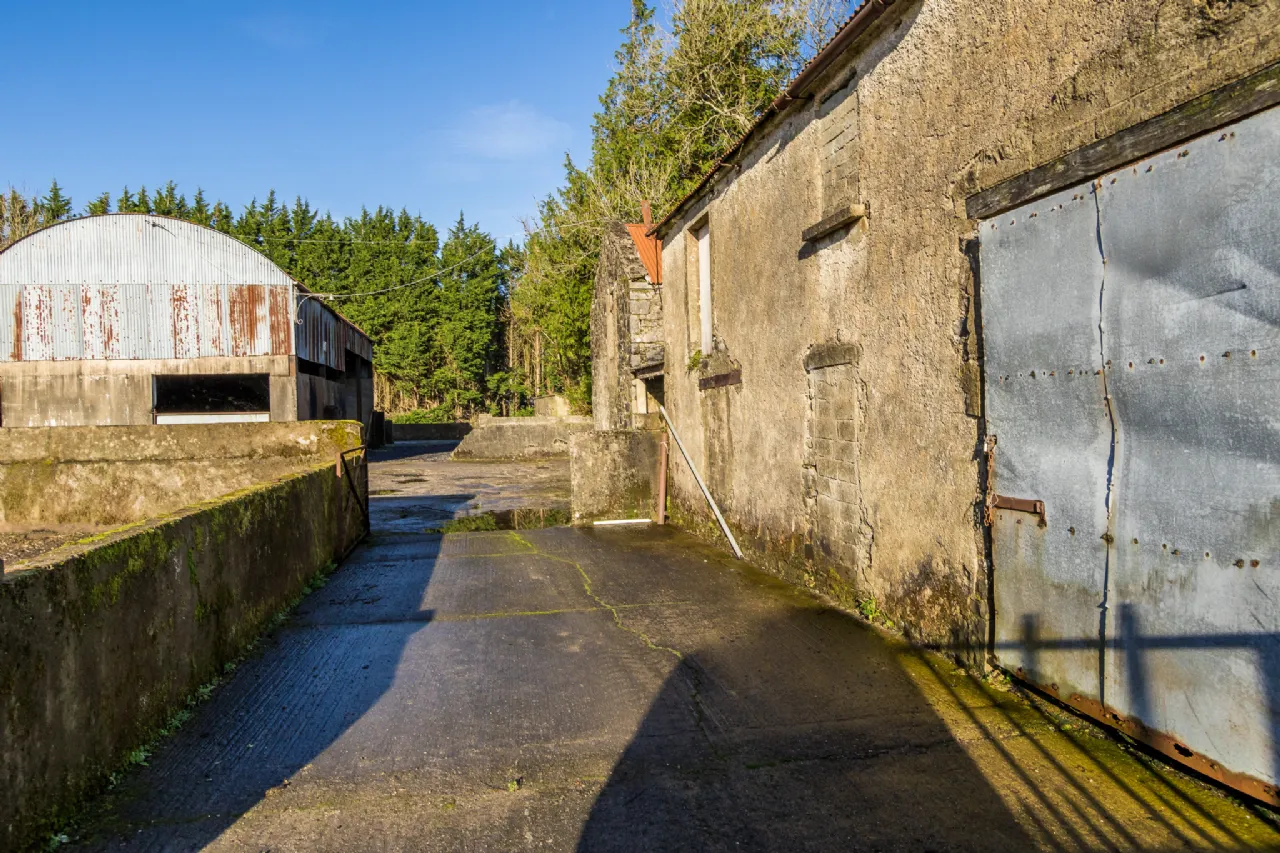 Photo of Collindale, Aghalustia, Ballaghderreen, Co. Roscommon, F45NX23