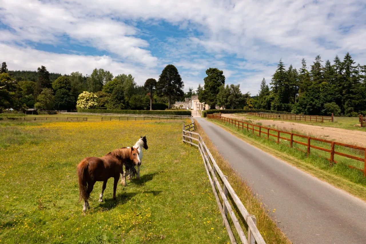 Photo of 3 Glanmore Castle, Devils Glen, Ashford, County Wicklow, A67 AH77