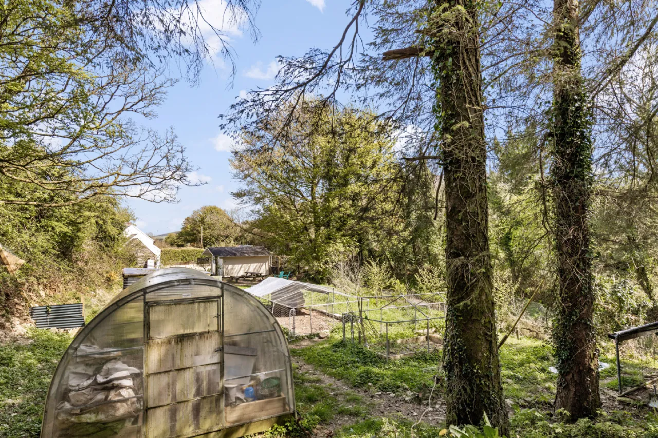 Photo of Knocksquire,, Borris,, Co. Carlow, R95F6P5