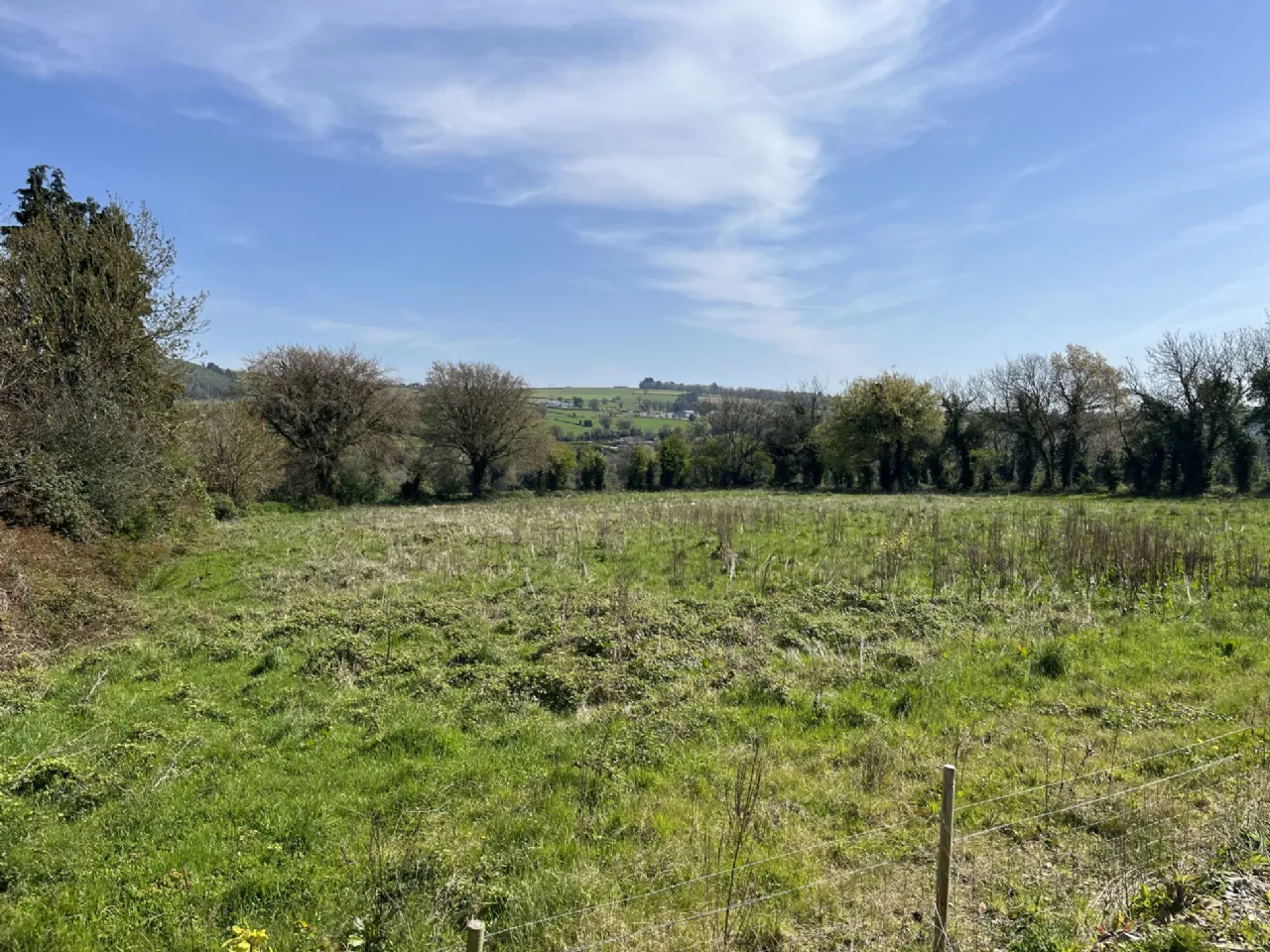Photo of Site B, Mangan, Hollyfort, Gorey, Co. Wexford