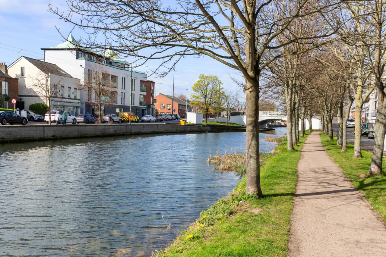 Photo of 22 Windsor Terrace, Portobello, Dublin 8, D08 CXH4