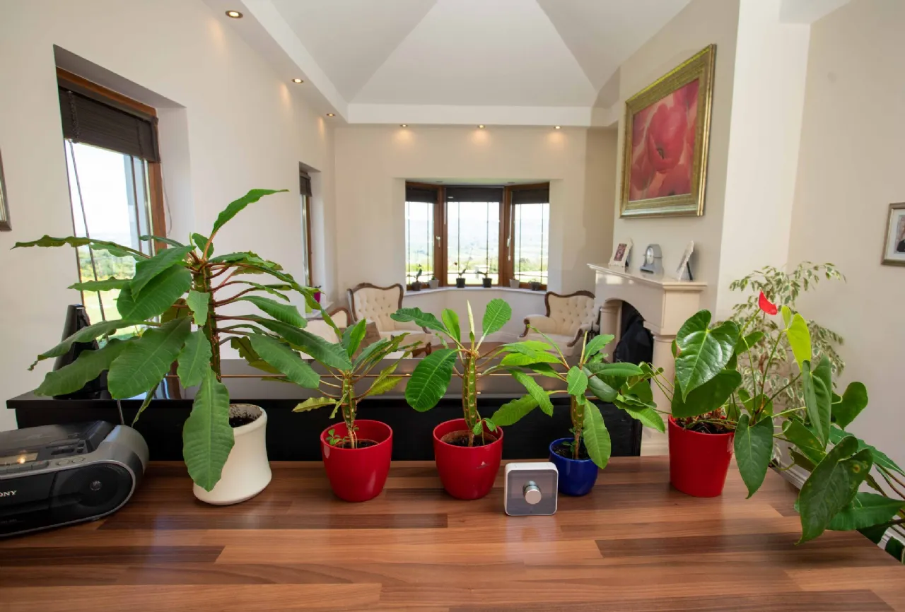 Photo of Ballindooganig, Gortbrack, Tralee, Co. Kerry, V92 F82F