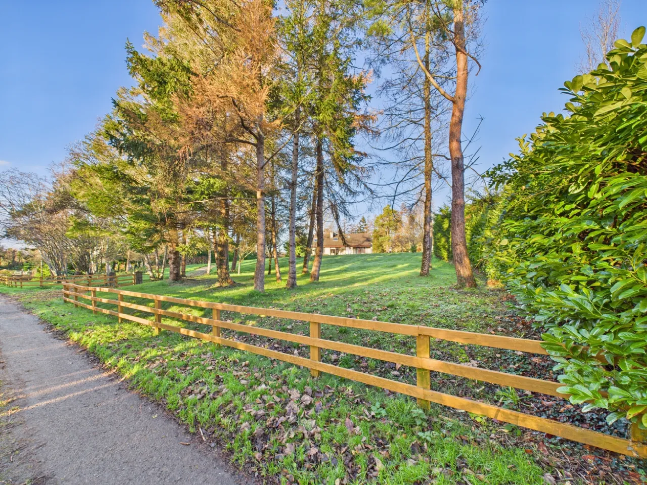 Photo of Tomona, Dromineer, Nenagh, Co. Tipperary, E45RT27