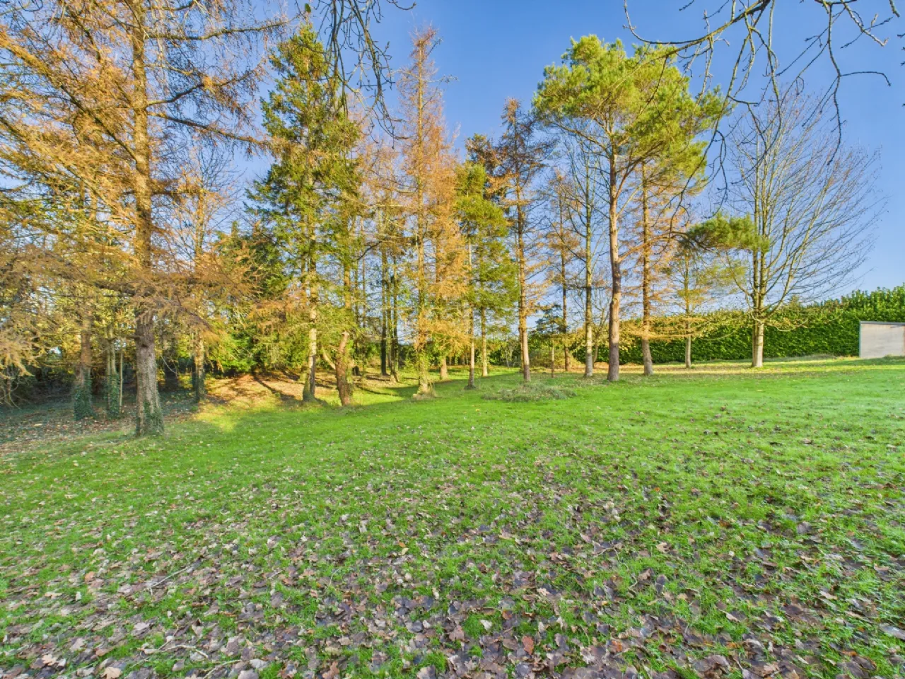 Photo of Tomona, Dromineer, Nenagh, Co. Tipperary, E45RT27