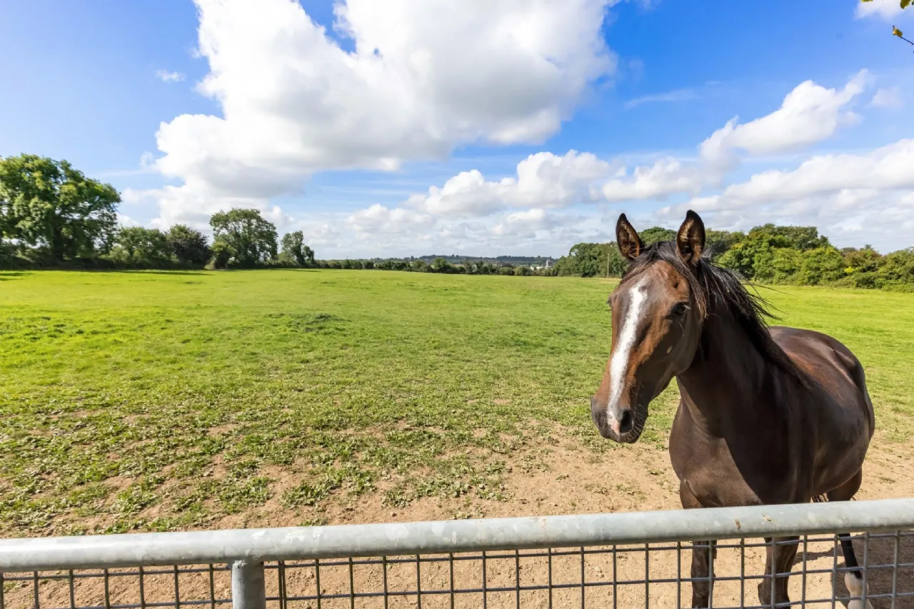 Photo of The Glebe House On 6.5 Acres, Painestown, Navan, Co Meath, C15 A0Y5