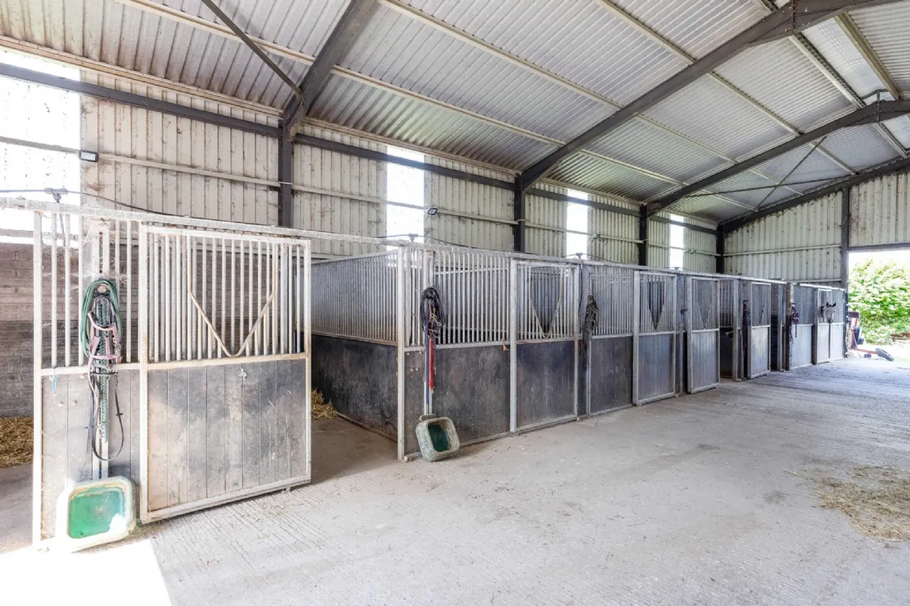 Photo of The Glebe House On 6.5 Acres, Painestown, Navan, Co Meath, C15 A0Y5