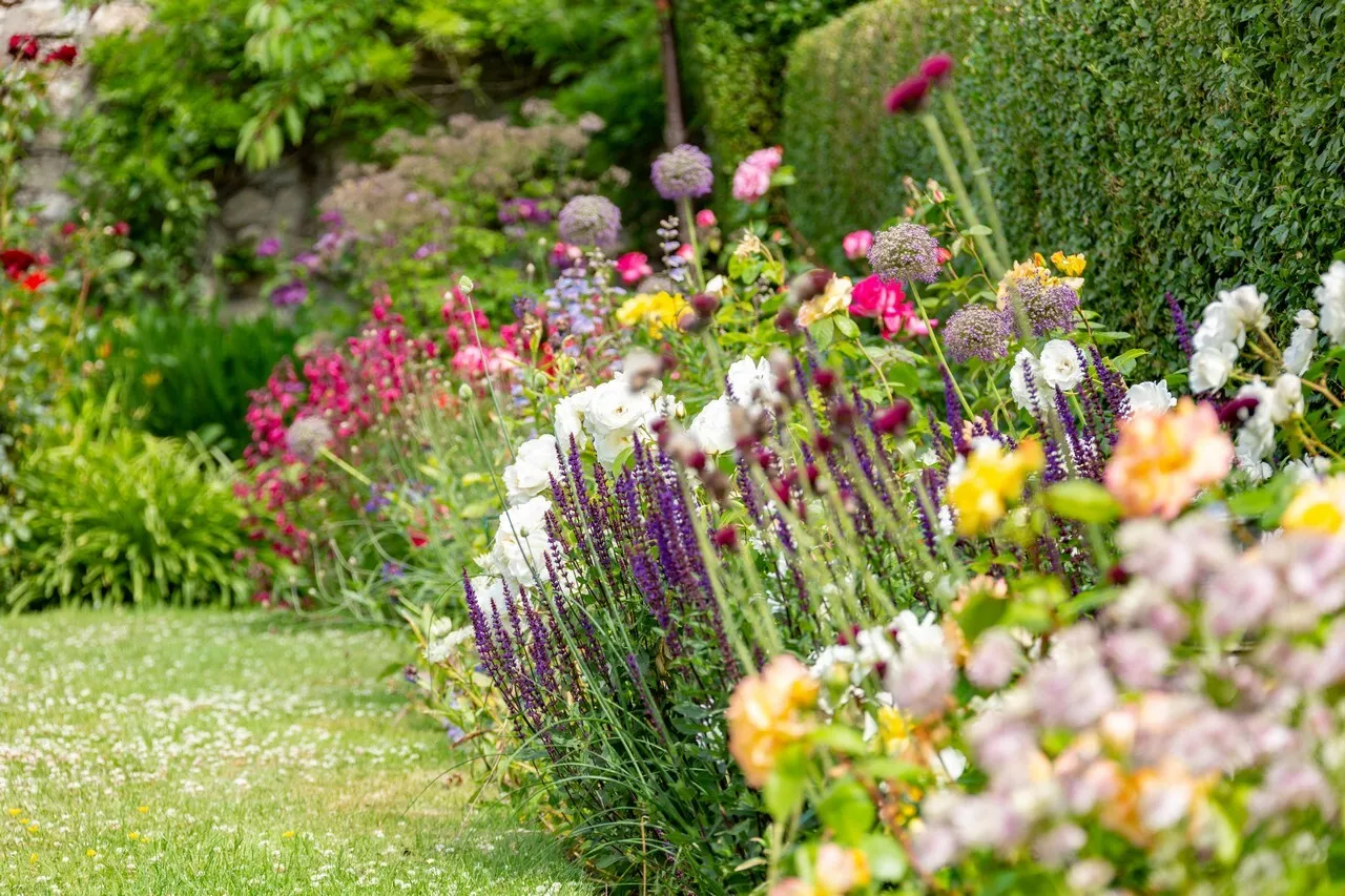 Photo of Melfort, 19 Shrewsbury Road, Ballsbridge, Dublin 4, D04 T0H7