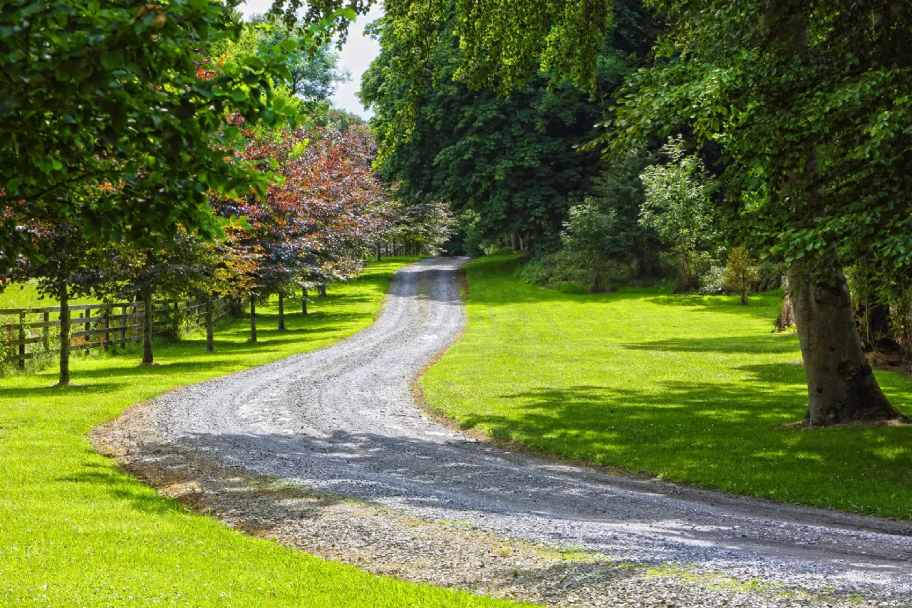 Photo of Bellevue House & Estate, Bellevue, Coolbaun, Nenagh, Co Tipperary, E45 HH57