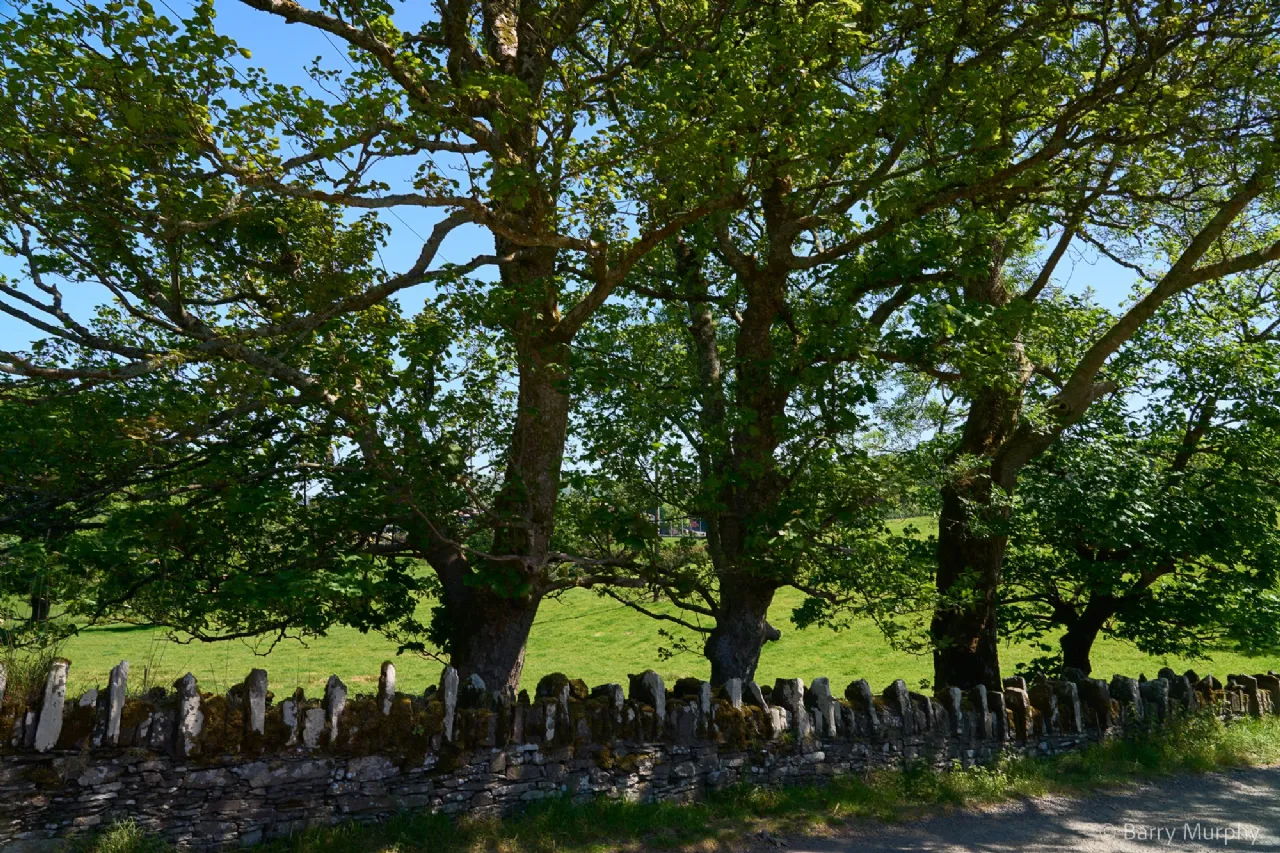 Photo of Ardeevin House, Beach, Bantry, County Cork, P75 PK20