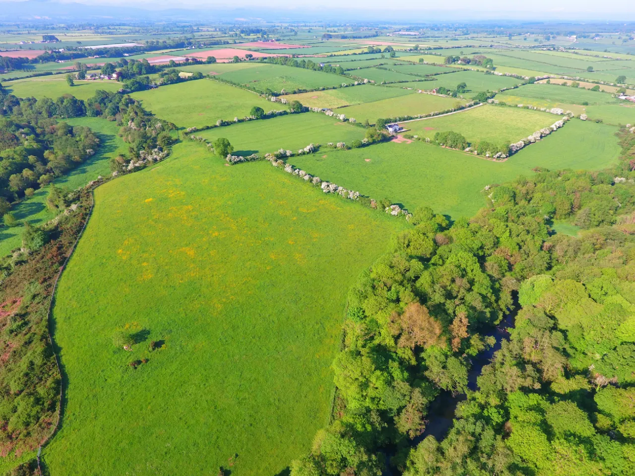 Photo of Ballygriggan House, Ballygriggan, Castletownroche, Co. Cork, P51XD54