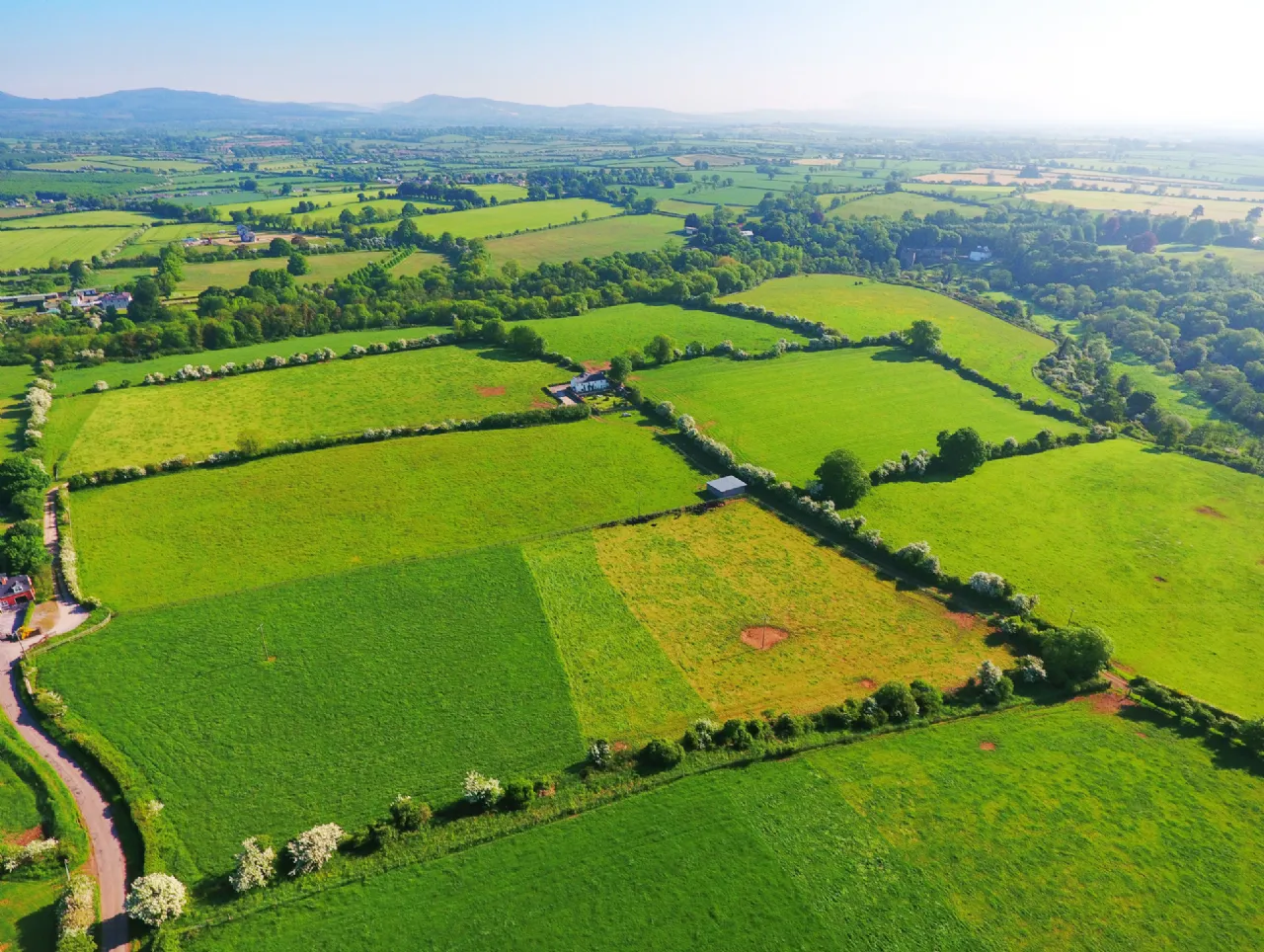 Photo of Ballygriggan House, Ballygriggan, Castletownroche, Co. Cork, P51XD54