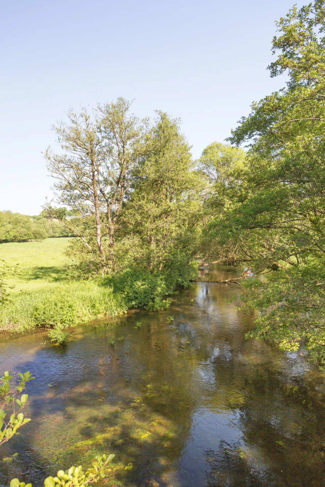 Photo of Ballygriggan House, Ballygriggan, Castletownroche, Co. Cork, P51XD54