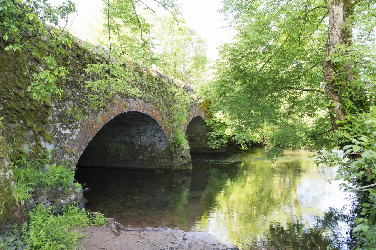 Photo of Ballygriggan House, Ballygriggan, Castletownroche, Co. Cork, P51XD54