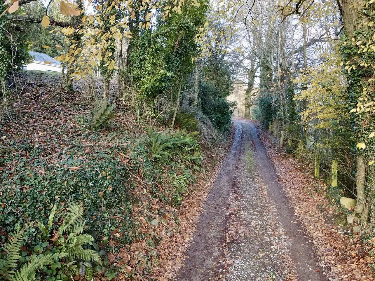 Photo of The Laurels, Ballymacarbry, Co Waterford, E91 P306