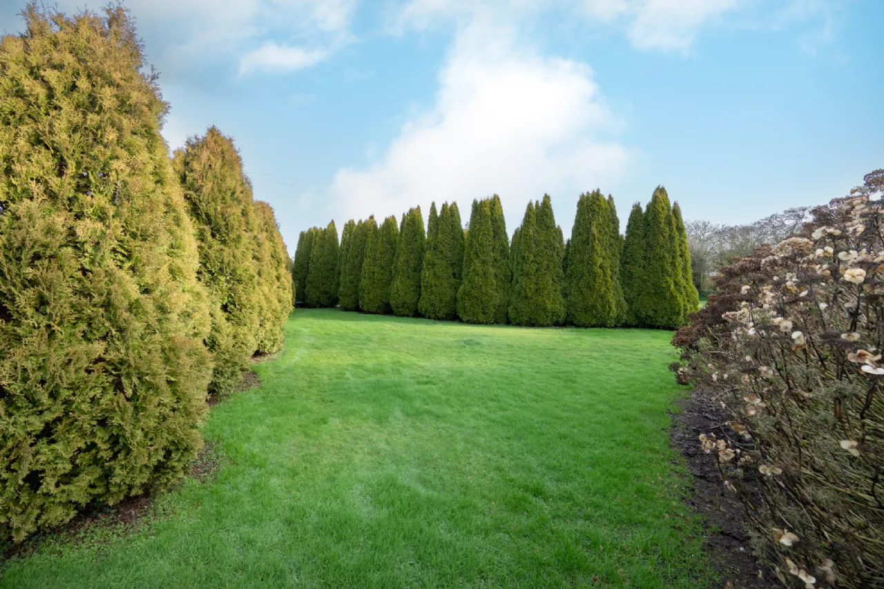 Photo of Ballygroman Upper, Ovens, Co Cork, P31HE06