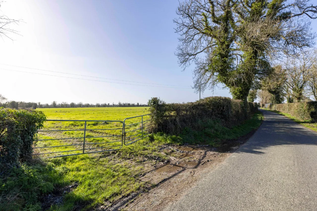 Photo of Lands At Herbertstown (The Entire), Approx. 17.3 Hectares (42.8 Acres), Dunboyne, County Meath