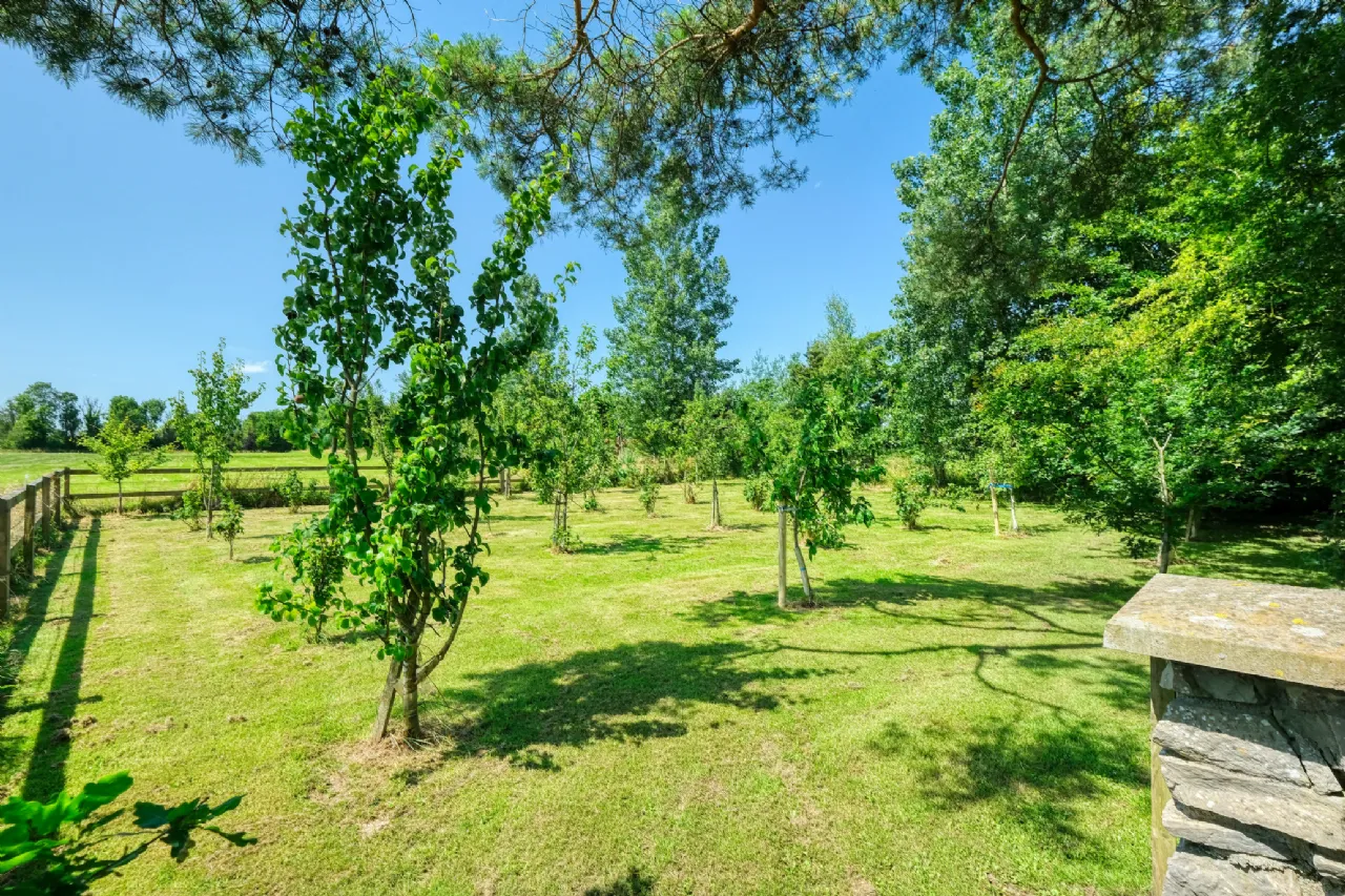 Photo of Killinbore, Colehill, Co. Longford, N39 Y9W6