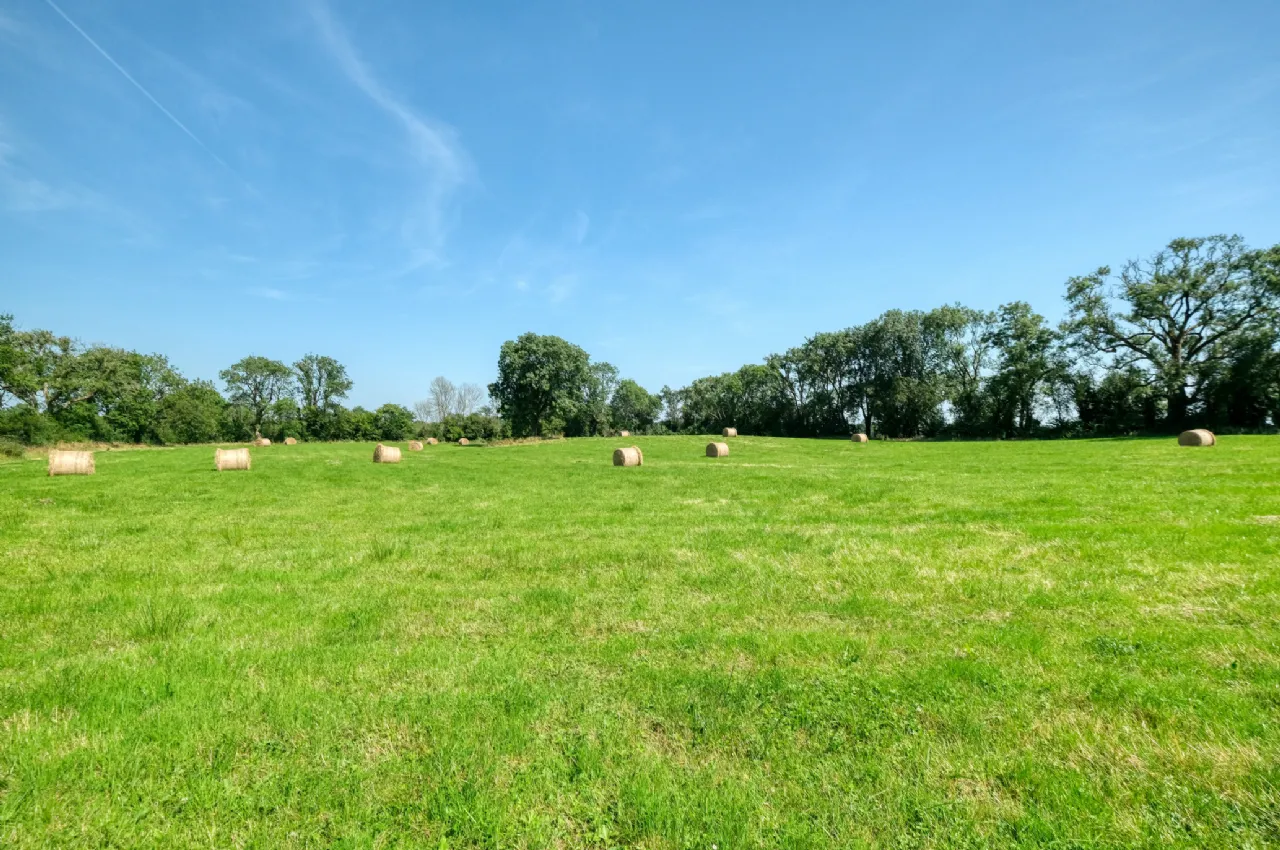 Photo of Killinbore, Colehill, Co. Longford, N39 Y9W6