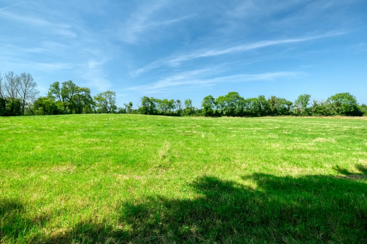 Photo of Killinbore, Colehill, Co. Longford, N39 Y9W6