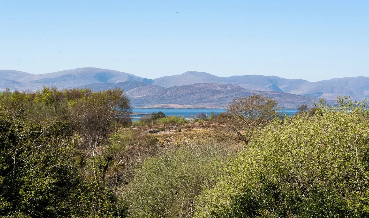 Photo of Barrakilla, Ardgroom, Beara, Co Cork, P75 ND00